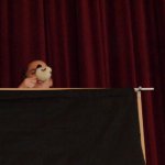 phoca_thumb_m_dasenka 34 Fotogalerie